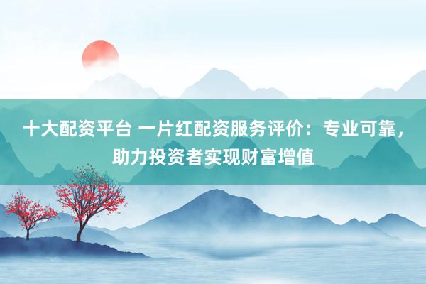 十大配资平台 一片红配资服务评价：专业可靠，助力投资者实现财富增值