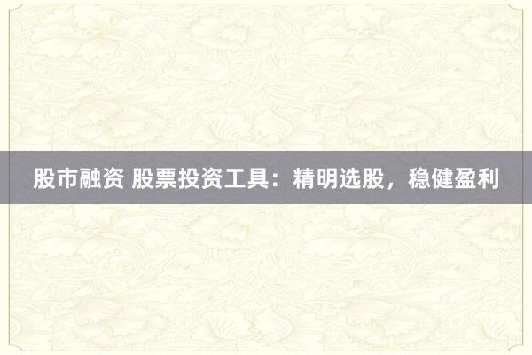 股市融资 股票投资工具：精明选股，稳健盈利