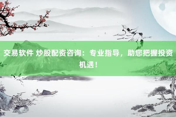 交易软件 炒股配资咨询：专业指导，助您把握投资机遇！