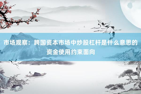 市场观察：跨国资本市场中炒股杠杆是什么意思的资金使用约束面向