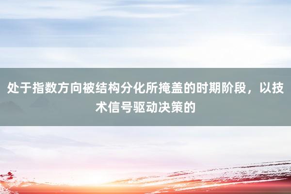 处于指数方向被结构分化所掩盖的时期阶段，以技术信号驱动决策的