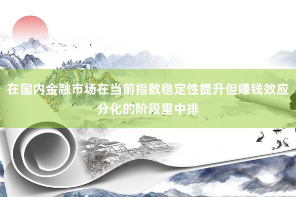 在国内金融市场在当前指数稳定性提升但赚钱效应分化的阶段里中排