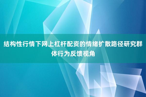 结构性行情下网上杠杆配资的情绪扩散路径研究群体行为反馈视角