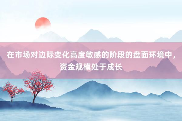 在市场对边际变化高度敏感的阶段的盘面环境中，资金规模处于成长