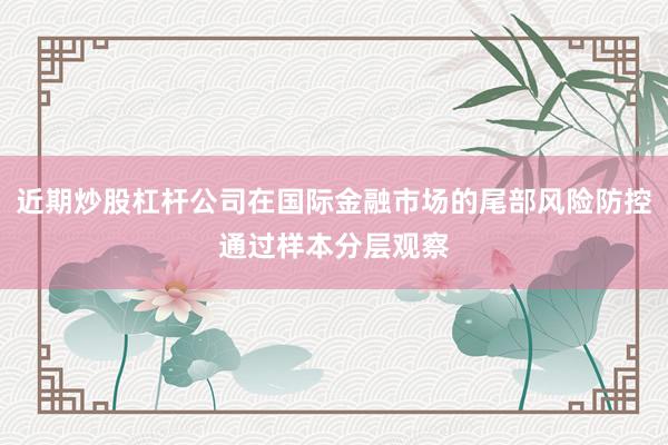近期炒股杠杆公司在国际金融市场的尾部风险防控通过样本分层观察