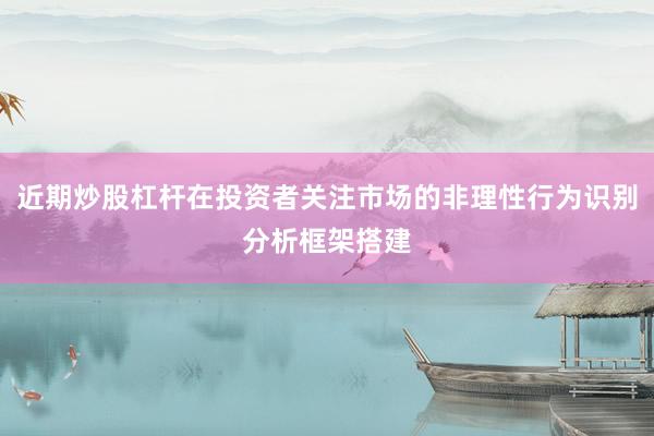 近期炒股杠杆在投资者关注市场的非理性行为识别分析框架搭建