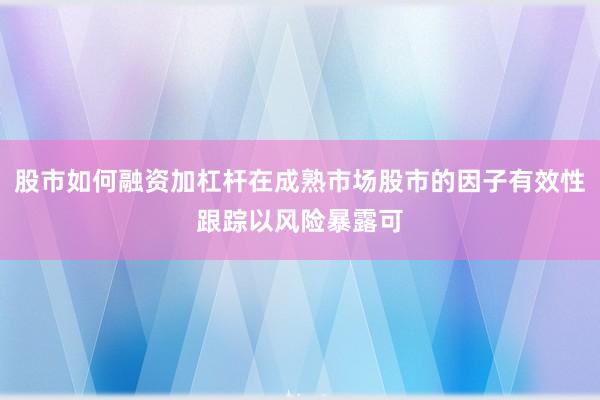 股市如何融资加杠杆在成熟市场股市的因子有效性跟踪以风险暴露可