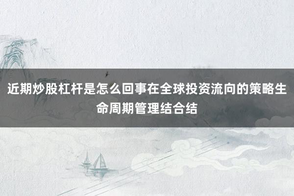 近期炒股杠杆是怎么回事在全球投资流向的策略生命周期管理结合结