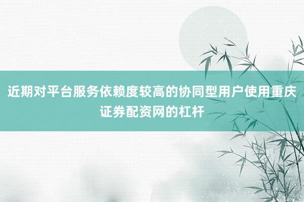 近期对平台服务依赖度较高的协同型用户使用重庆证券配资网的杠杆