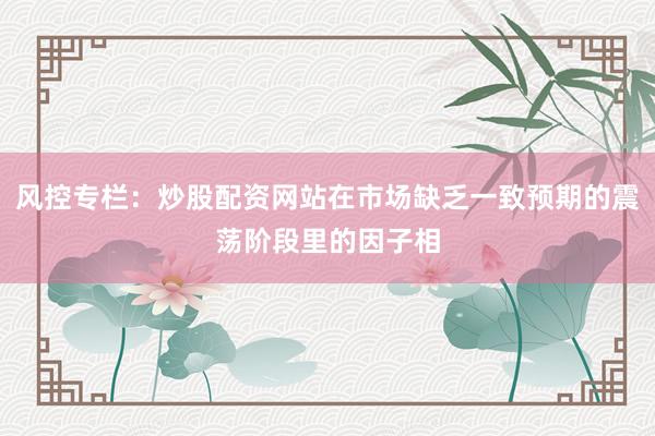 风控专栏：炒股配资网站在市场缺乏一致预期的震荡阶段里的因子相