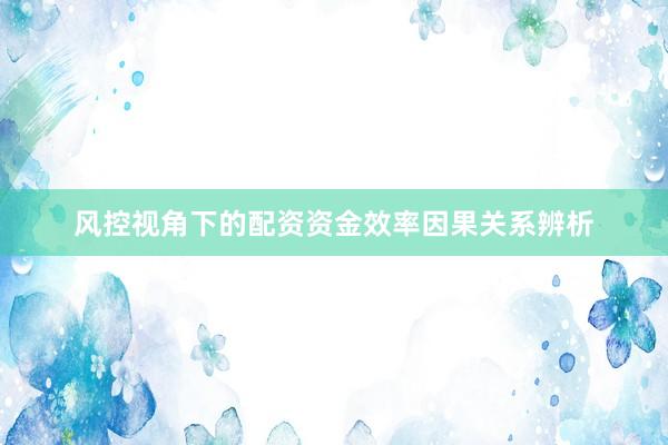 风控视角下的配资资金效率因果关系辨析