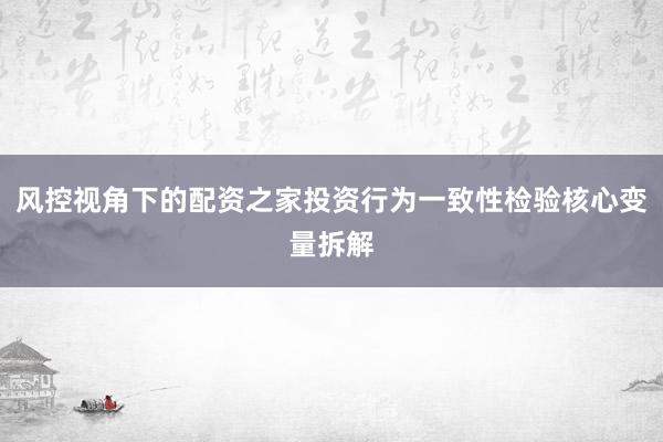 风控视角下的配资之家投资行为一致性检验核心变量拆解