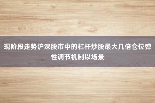 现阶段走势沪深股市中的杠杆炒股最大几倍仓位弹性调节机制以场景