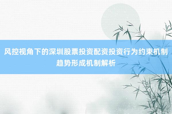 风控视角下的深圳股票投资配资投资行为约束机制趋势形成机制解析
