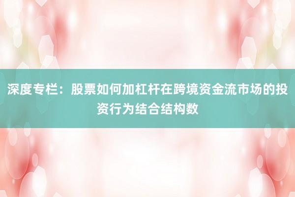 深度专栏：股票如何加杠杆在跨境资金流市场的投资行为结合结构数