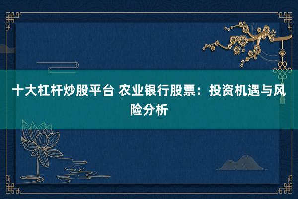 十大杠杆炒股平台 农业银行股票：投资机遇与风险分析
