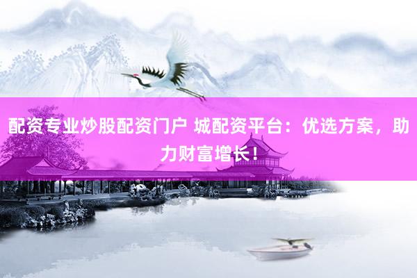 配资专业炒股配资门户 城配资平台：优选方案，助力财富增长！