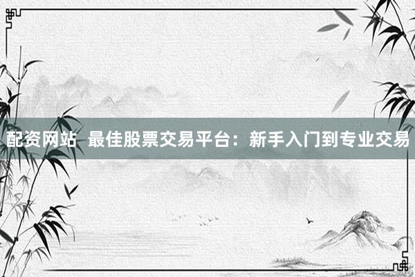 配资网站  最佳股票交易平台：新手入门到专业交易